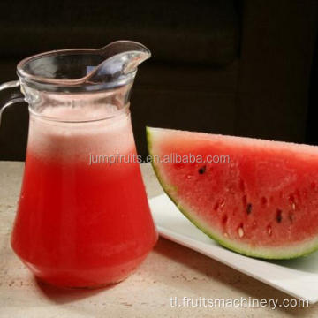 Watermelon Juice Processing Machines